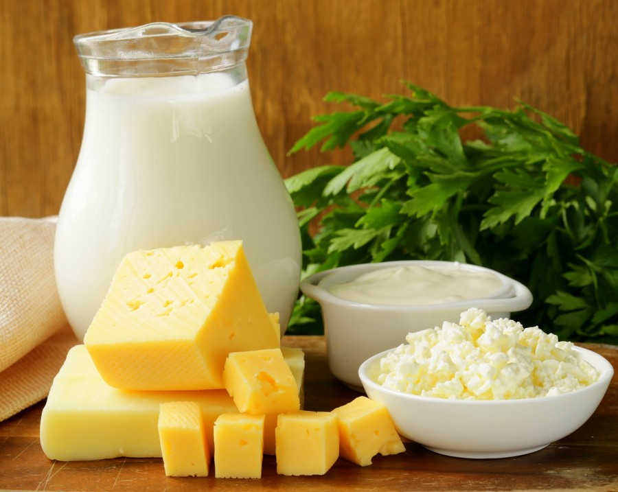 Susu dan produk olahannya