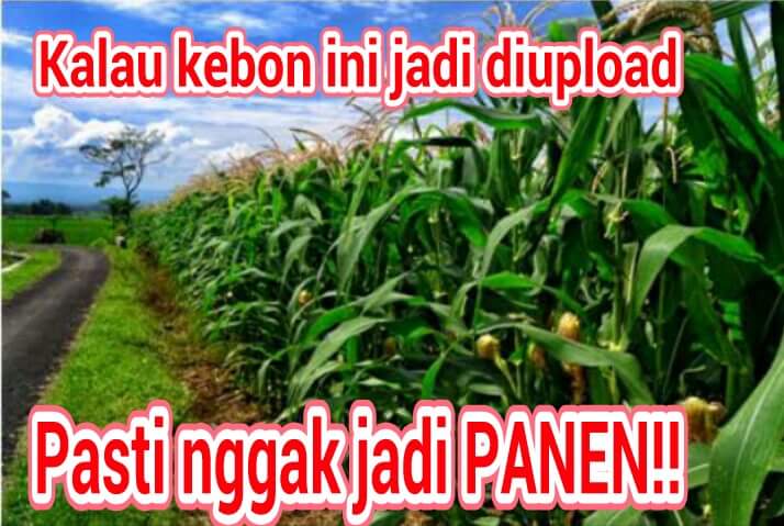 foto: Hendro Suryanto
