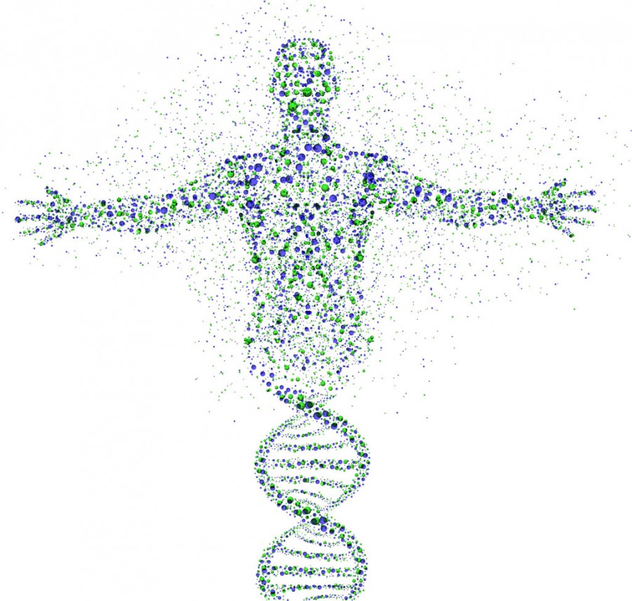 perbedaan dna dan rna