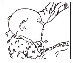 bayi menempel di payudara dengan tepat