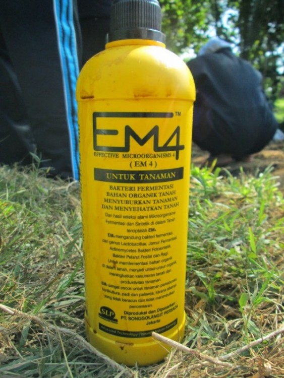 Membuat Pestisida Organik EM-4
