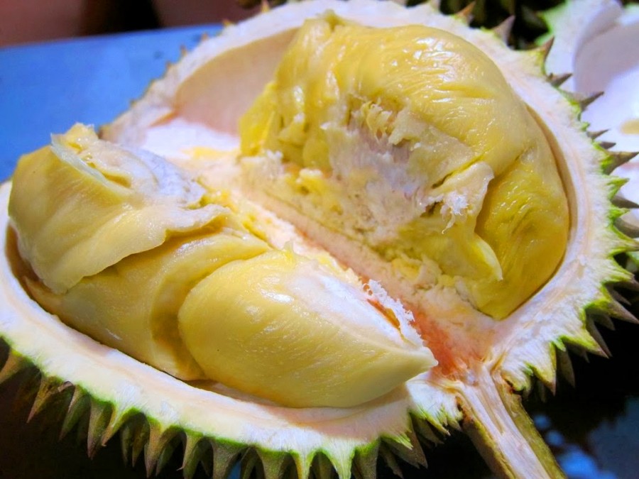 6 Langkah Mudah Menanam Durian Montong