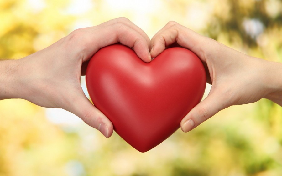 Apakah Anda Ingin Memiliki Hati yang Bersih? Berikut 3 Obat Hati yang Mujarab