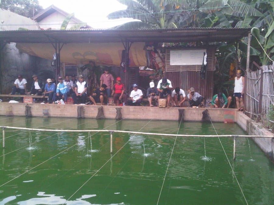 peluang bisnis kolam pemancingan