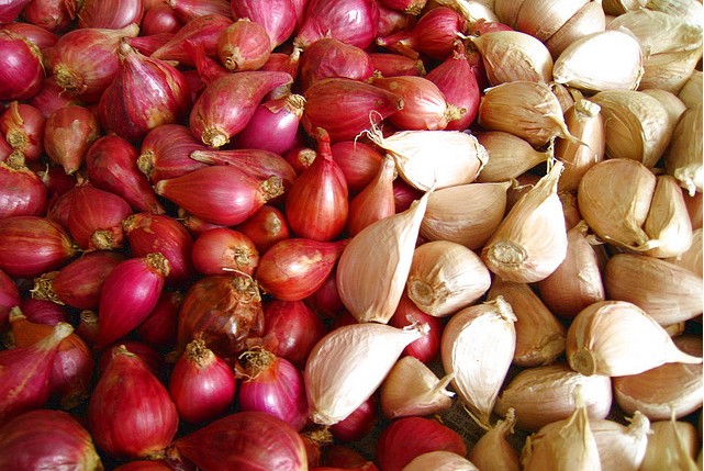 obat diabetes alami bawang