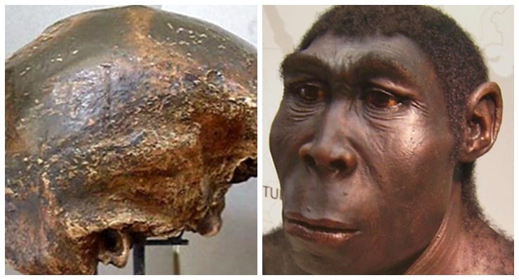 Pengertian Homo Soloensis