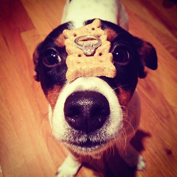 http://www.boredpanda.com/