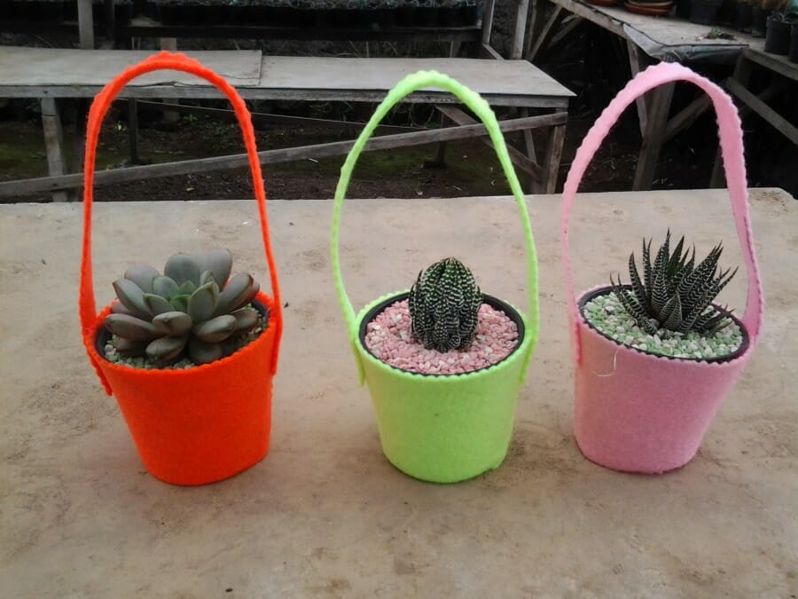 Inilah 9 Jenis Souvenir Pernikahan yang Bermanfaat