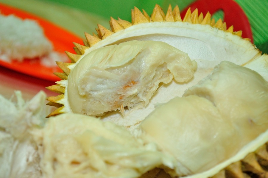 Gambar Buah Durian