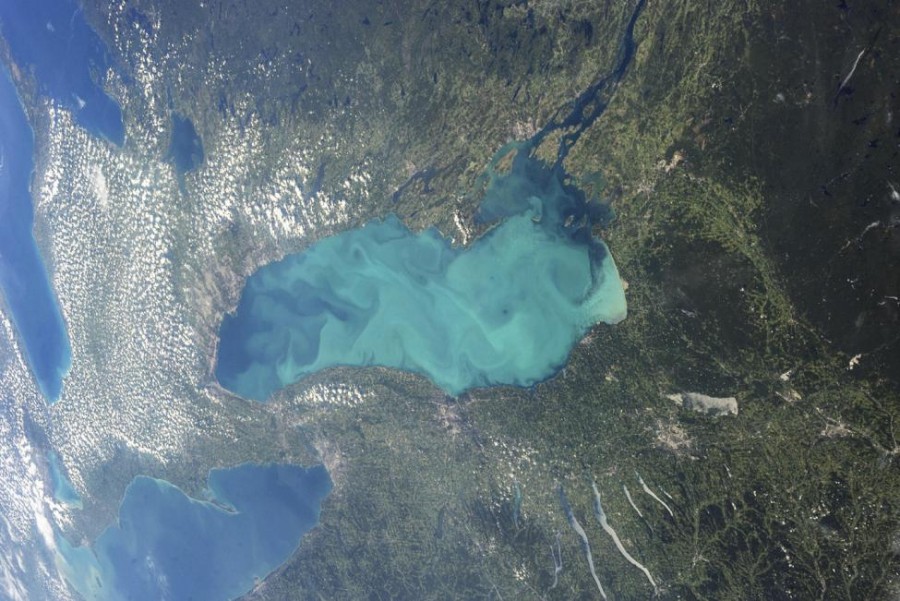 Plankton Danau Ontario