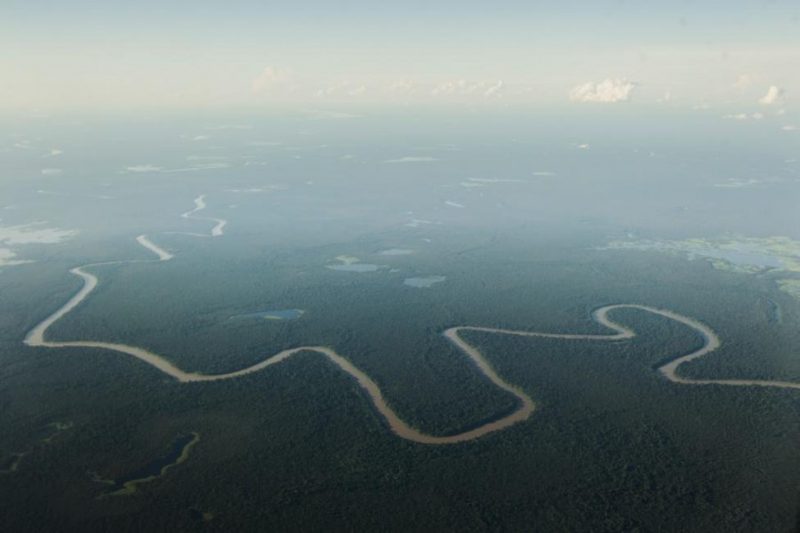 Pandangan udara dari anak sungai dari sungai Solimoes, salah satu anak sungai utama dari Amazon