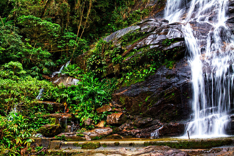 Air terjun di Tijuca Forest