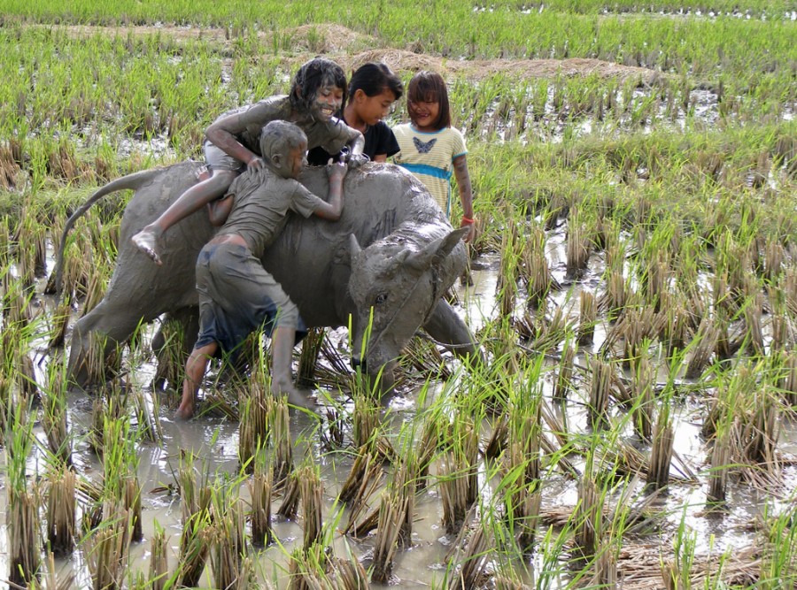 Lihat, Betapa Bahagianya Anak-Anak Ini Ketika Bermain di 