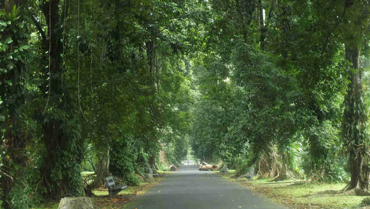 Jalan Kenari II Kebun Raya Bogor