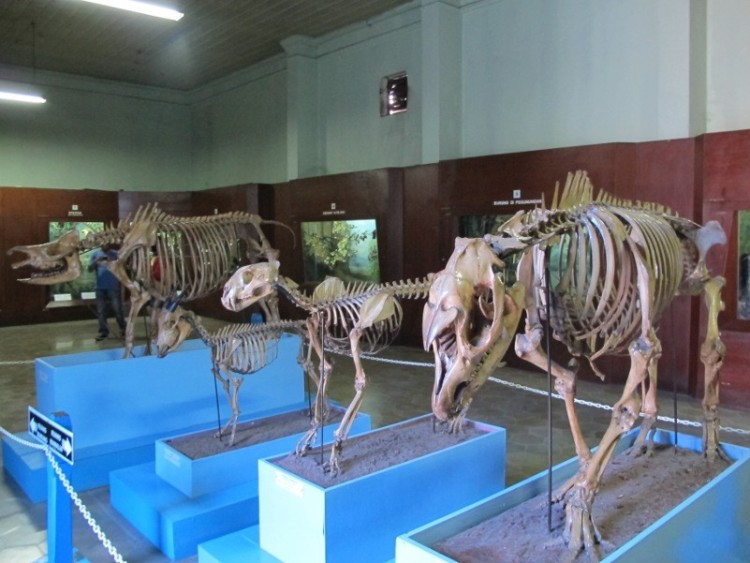 Museum Zoologi Kebun Raya Bogor