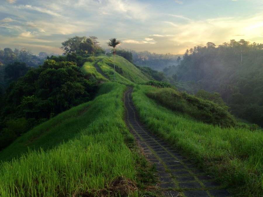 Campuhan Ridge Walk di Pulau Bali