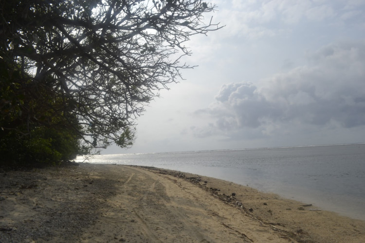 Pantai Tenda Biru adalah salah satu pantai di Ujung Genteng yang mempesona.