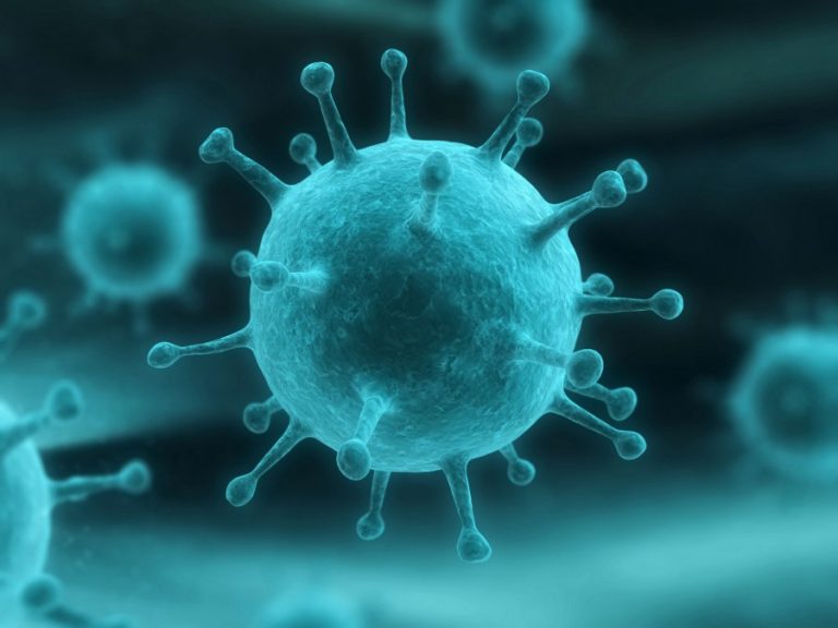 Ciriciri Virus Virus yang Sering Menyerang Makhluk Hidup