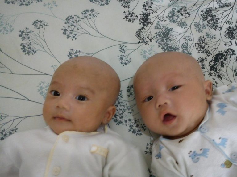 Sekilas Informasi Tentang Bayi Tabung