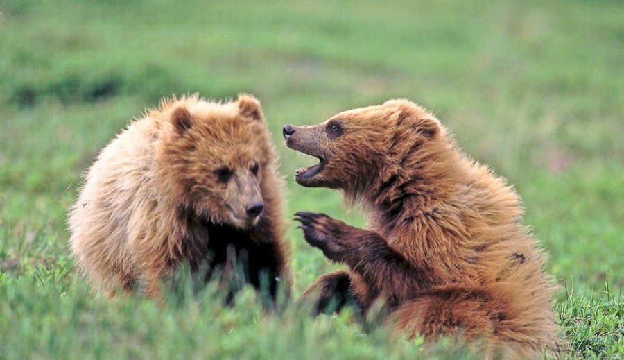 Adab Berbicara Sesuai Ajaran Islam