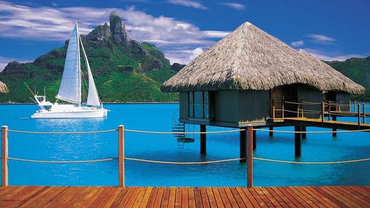 www.expedia.com