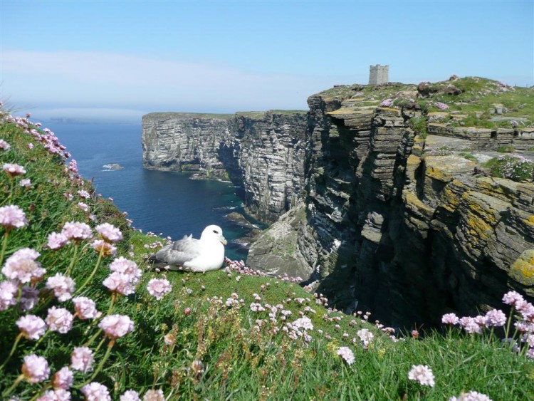 www.orkneyholidaycottagelets.co.uk